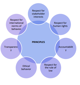 Embracing IS/ISO 26000:2010 for Advancing United Nations Sustainable ...